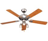 1120200316165459_human_m48005_xy_3l