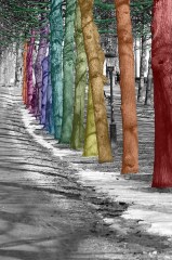 Ρολλοκουρτίνα ψηφιακής εκτύπωσης με ύφασμα μερικής συσκότισης, Φύση 180