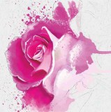 Ρολλοκουρτίνα ψηφιακής εκτύπωσης με ύφασμα μερικής συσκότισης, Floral 260