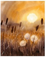 Ρολλοκουρτίνα ψηφιακής εκτύπωσης με ύφασμα μερικής συσκότισης, Art 330