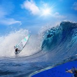 Ρολλοκουρτίνα ψηφιακής εκτύπωσης με ύφασμα μερικής συσκότισης, Φύση 625