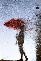 Ρολλοκουρτίνα ψηφιακής εκτύπωσης με ύφασμα μερικής συσκότισης, Art 655