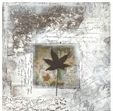 Ρολλοκουρτίνα ψηφιακής εκτύπωσης με ύφασμα μερικής συσκότισης, Art 65