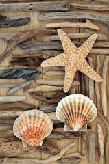 Ρολλοκουρτίνα ψηφιακής εκτύπωσης με ύφασμα μερικής συσκότισης, Φύση 700