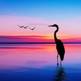 Ρολλοκουρτίνα ψηφιακής εκτύπωσης με ύφασμα μερικής συσκότισης, Φύση 95