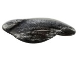 Χουφτάκι επίπλων Ζωγομετάλ 34 μαύρο πατίνα ασημί